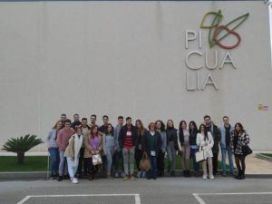 Visita a Picualia