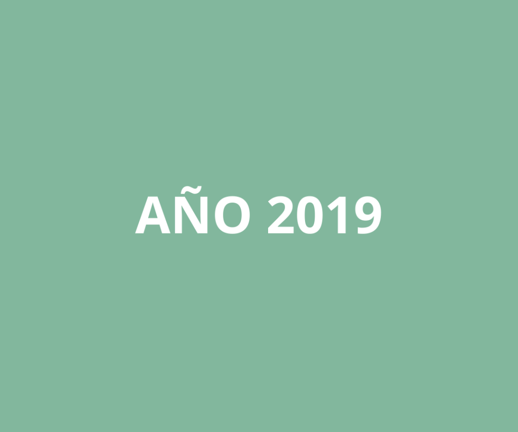Año 2019
