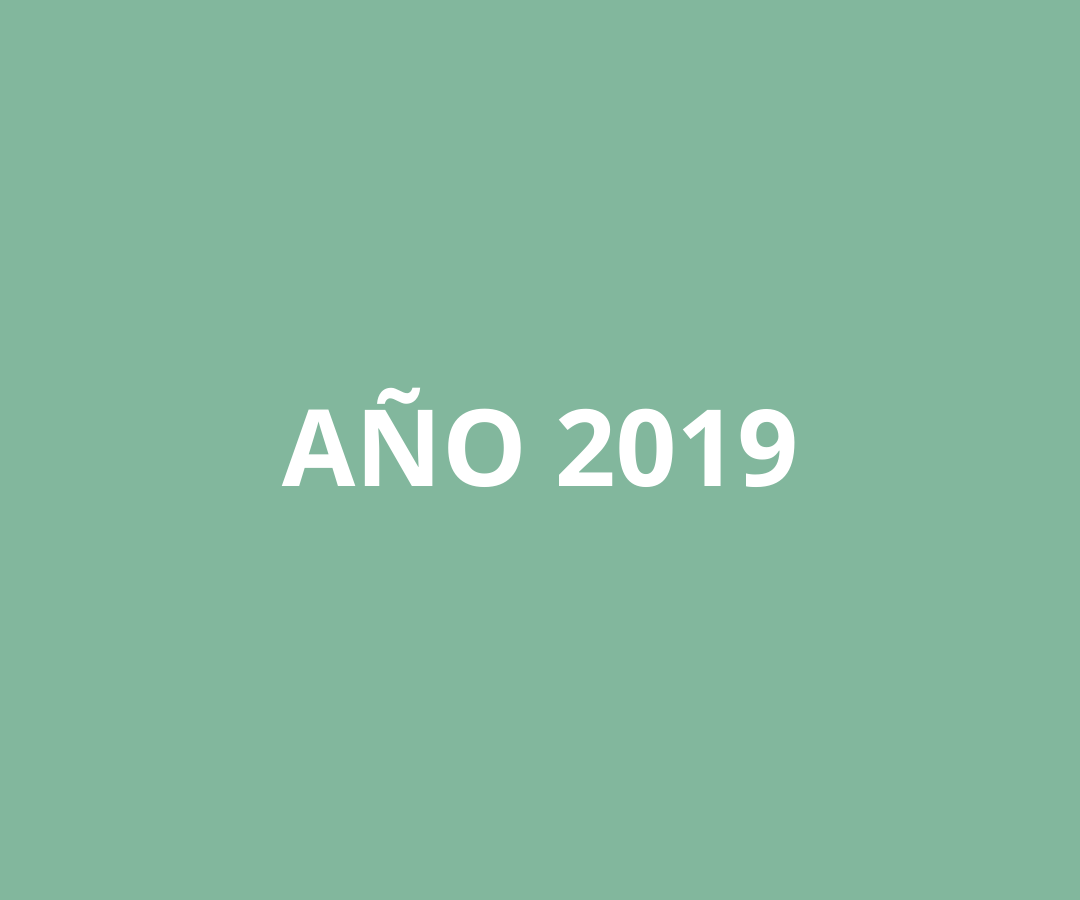 Año 2019